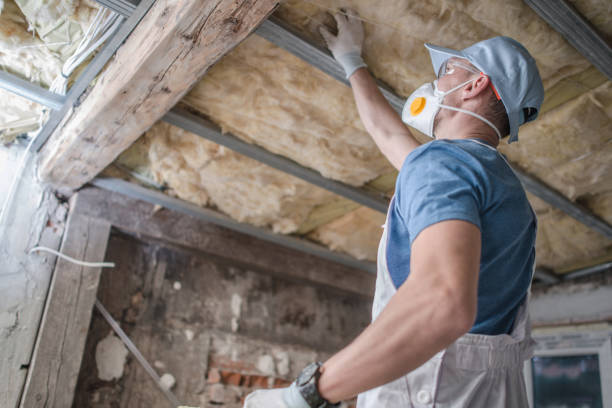 Best Insulation Materials and Products in Palm River Clair Mel, FL